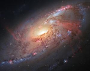 Multi-wavelength view of Messier 106