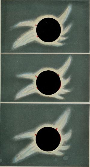 Sketches of the total solar eclipse of August 1868