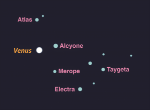 Venus and the Pleiades