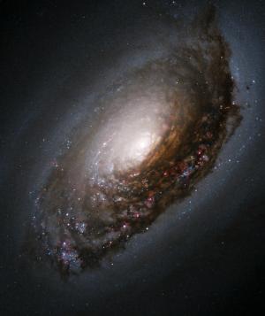 Hubble Space Telescope view of spiral galaxy M64, the Black-Eye Galaxy