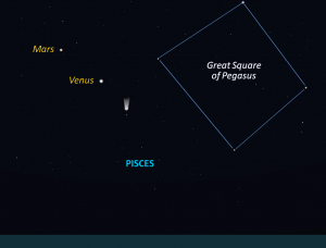 Encke's Comet in mid-February