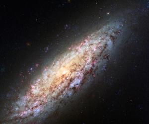 Hubble Space Telescope view of galaxy NGC 6503