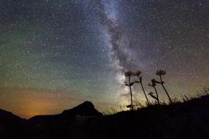 Milky Way above Glacier National Park