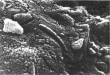 microscopic view of mars meteorite AH84001