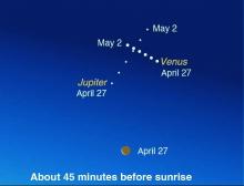 Moon, Venus, Jupiter at dawn, late April into early May