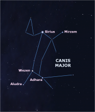 Canis Major