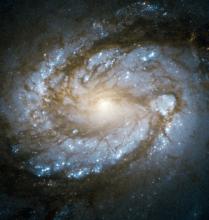 Hubble Space Telescope view of galaxy M100