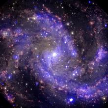 Multi-wavelength view of NGC 6946, the Fireworks Galaxy