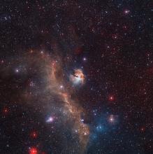 seagull nebula