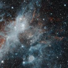 A combination of star-forming regions and the remains of an exploded star, seen in the infrared