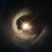 V1331 Cygni, a newly forming star