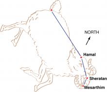 Aries, the ram