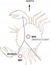 Cancer, the Crab